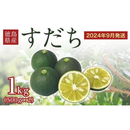 ふるさと納税 徳島県産「すだち」１kg（500g×2袋） 徳島県