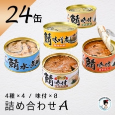 鯖缶詰24缶詰め合わせ A