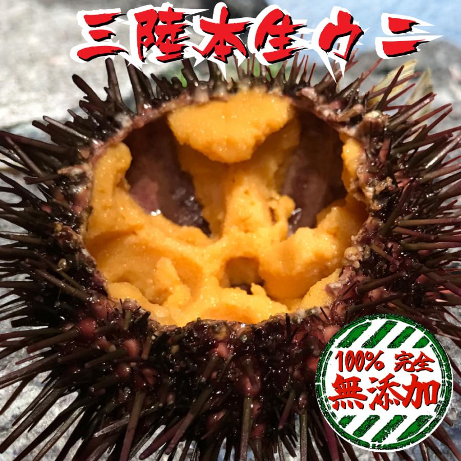 三陸産 本物生ウニ 240ｇ 4-6人前 完全無添加