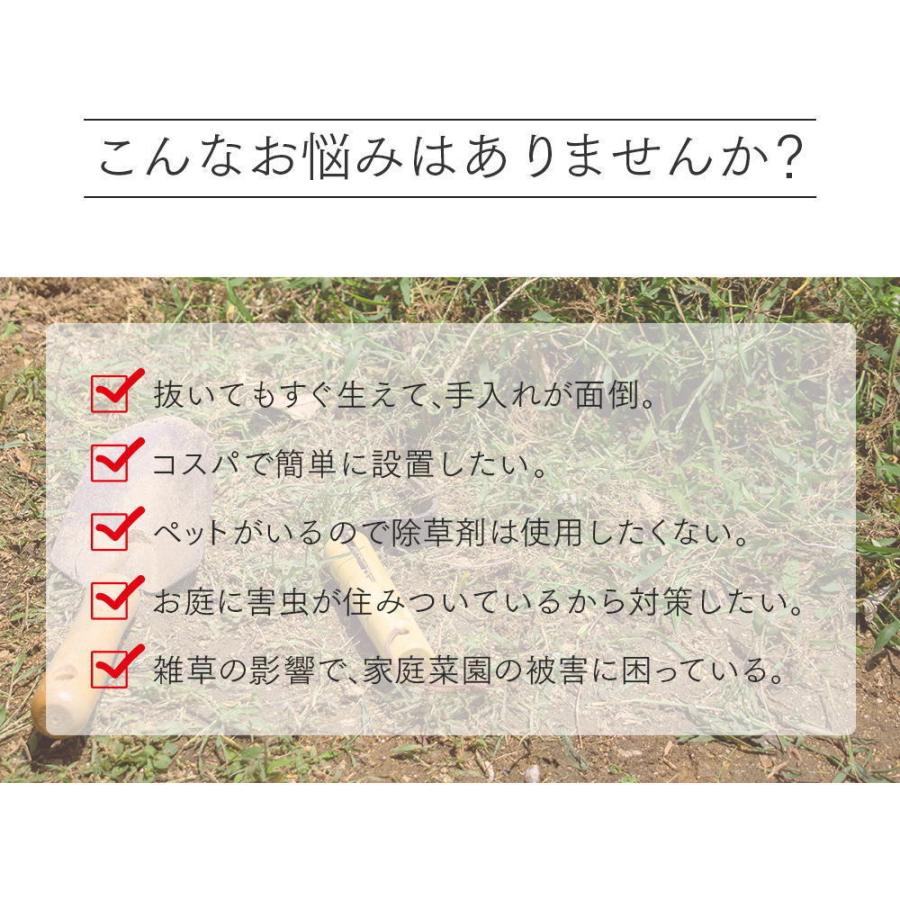 アイメディア 敷くだけ簡単雑草防止シート 固定ピン付