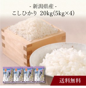 〔 新潟県産 こしひかり 20kg 〕お取り寄せ 送料無料 内祝い 出産内祝い 新築内祝い 快気祝い ギフト 贈り物