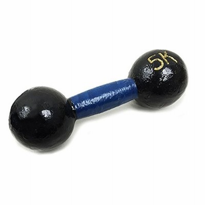 鉄アレイ 5kg 鉄アレー ダンベル バーベル フィットネス 筋トレ 通販 Lineポイント最大get Lineショッピング