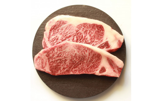 牛肉 黒毛和牛 宮崎産 サーロインステーキ(250g×2枚) 計500g [ウィズ・クリエイティブ 宮崎県 日向市 23-07] 和牛 肉 ステーキ サーロイン 冷凍 真空パック