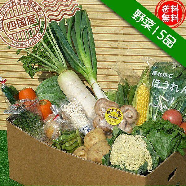 産直あきんど厳選野菜の詰め合わせ15品セット　送料無料