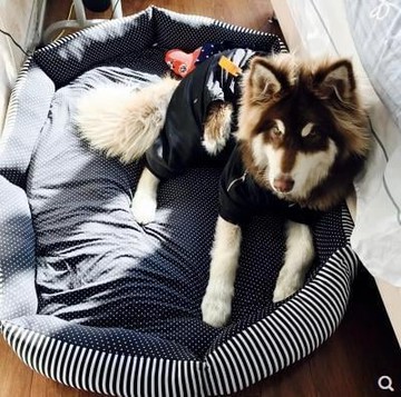 【可開發票】年底促銷-狗窩可拆洗阿拉斯加拉布拉多大型犬窩金毛薩摩耶窩狗床四季狗墊子