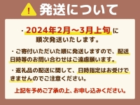 MZ041 福岡県産 あまおうG以上 1250g（5パック） 先行予約 2024年2月～3月末にかけて順次発送予定