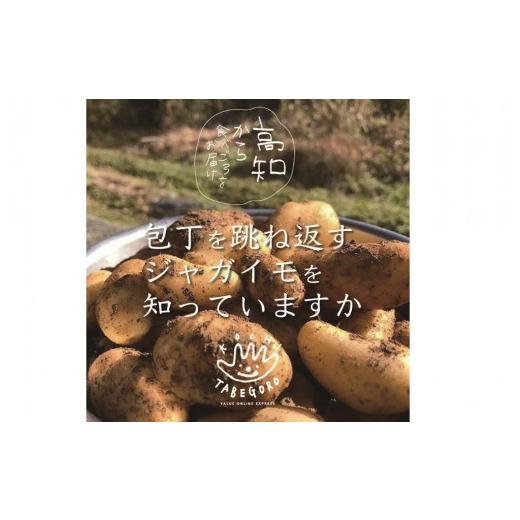 ふるさと納税 高知県 香美市 旬の採れたて新鮮野菜セット10品目「新鮮だから美味しい！」