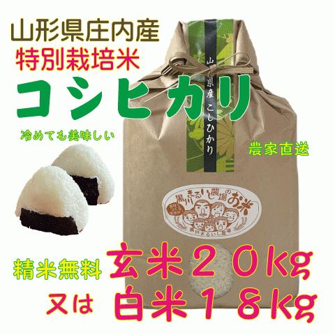 精米無料令和５年度特別栽培米山形県庄内産コシヒカリ　玄米２０kg（白米１８kg) 　鶴岡　贈答　お中元　お歳暮