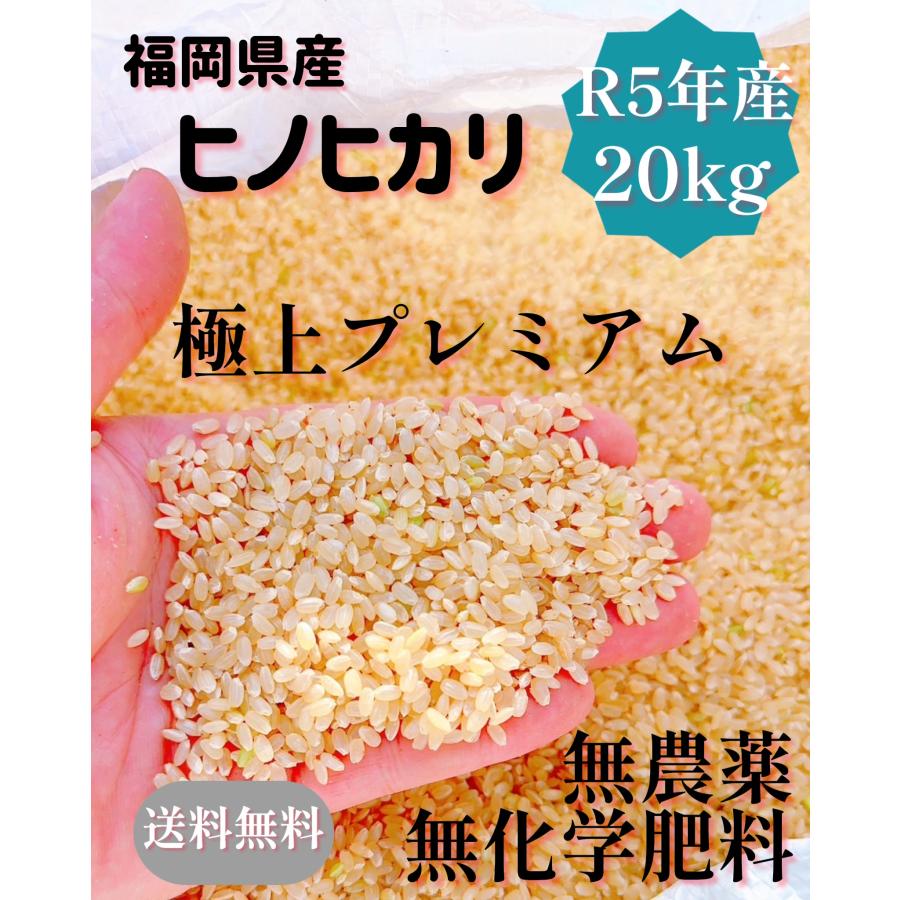 極上プレミアム　無農薬玄米　20キロ　20kg　福岡県産　ヒノヒカリ　令和５年産　送料無料