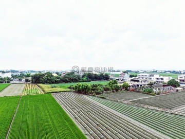 埔鹽大義段朝南方正美田｜彰化縣埔鹽鄉大義段