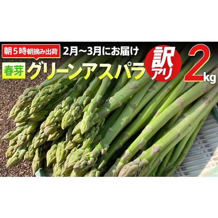 ふるさと納税 朝採り直送　春芽グリーンアスパラガス（訳あり品２Ｌ〜S サイズ）２kg　BT04 福岡県大木町