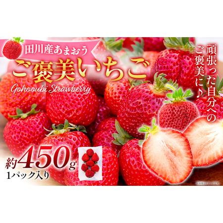 ふるさと納税 あまおう『ごほうびいちご』田川産あまおう 450g ＜2024年1月以降順次発送予定＞ あまおう いちご 苺 大粒 フルーツ 果物 お取り寄.. 福岡県田川市