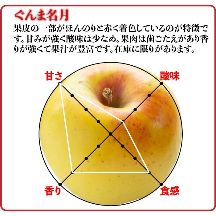 訳ありりんご 10kg 40玉前後 青森県産 送料無料 葉取らずりんご 訳あり 蜜入り リンゴ 林檎 お得用 ご家庭用 果物 フルーツ １０kg