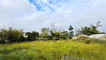 霄裡大池落羽松方正美麗農地｜桃園市大溪區廣福