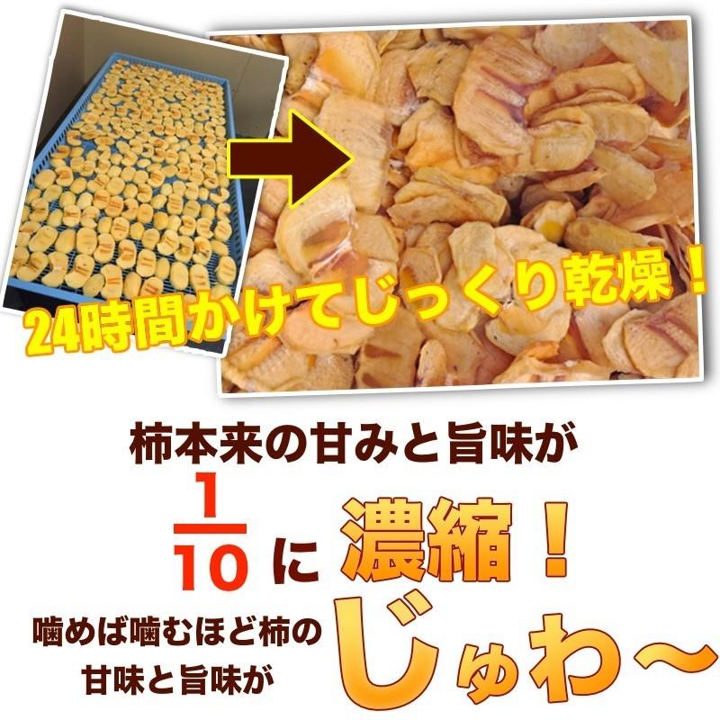 歌山県産 たねなし柿使用 ドライフルーツ 500g国産 無添加 砂糖不使用 柿チップ 送料無料