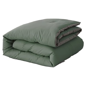 BELLE VIE 雲朵絨 厚鋪棉保暖可水洗冬被  整片羽絲絨飽滿填充  雙人(210 x 180cm)  薄霧綠