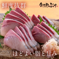 宮崎産 新海屋 鰤屋金太郎 刺身３種セット 真鯛 ぶり カンパチ 各種600g 計1800g　冷蔵　D073_1