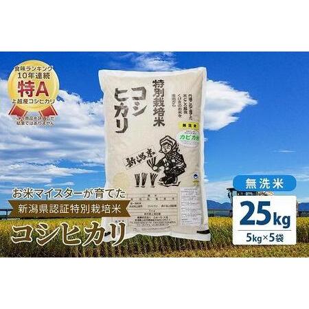 ふるさと納税 お米マイスターが育てた特別栽培米 精米コシヒカリ 上越産 令和5年産 25kg(5kg×5袋)無洗米 新潟県上越市