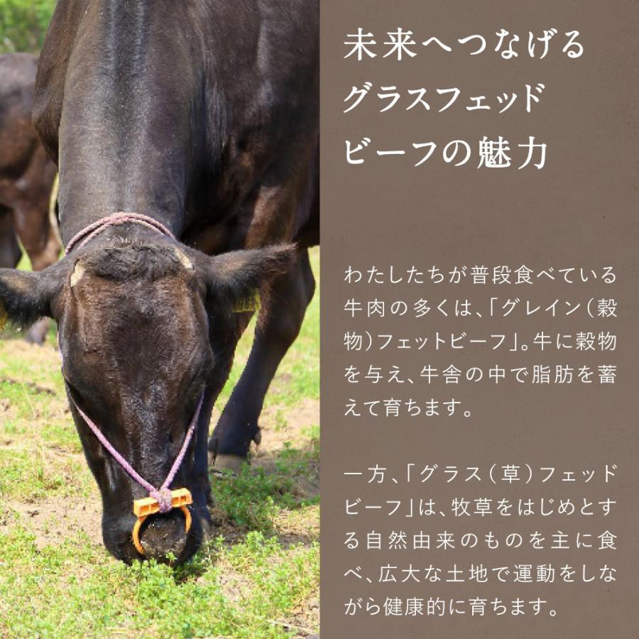 リブロースステーキ 合計300g (150g×2枚) 純日本産 グラスフェッドビーフ 国産 黒毛和牛 赤身 牛肉 焼き肉 BBQ お歳暮 ギフト