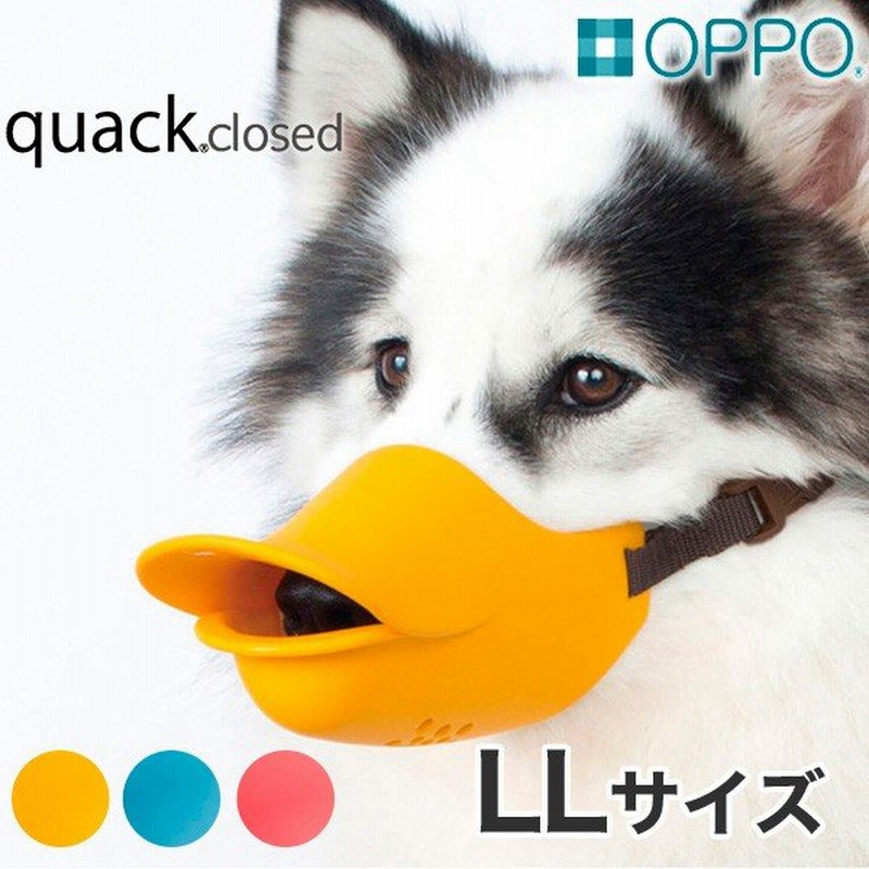 Oppo オッポ Quack Closed Llサイズ ルビー ブルー オレンジ 無駄吠え しつけ マズル 噛み付き アヒル口 口輪 おしゃれ 犬用 W 通販 Lineポイント最大0 5 Get Lineショッピング