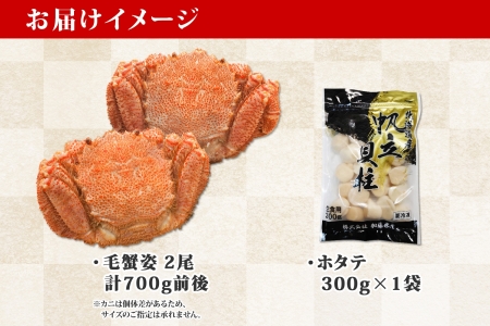 2029. 毛蟹 2尾 計700g前後 ホタテ 300g 専用ハサミ・食べ方ガイド付き 毛ガニ 毛がに 蟹 カニ カニ味噌 ほたて 帆立 貝柱 海鮮 ボイル 北海道 弟子屈町