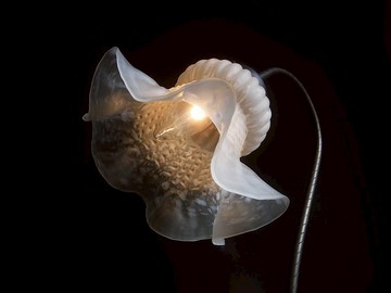 【老時光 OLD-TIME】早期台灣製大盞玻璃桌燈