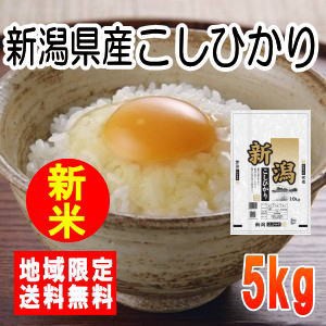 令和5年産新潟県産こしひかり5kg　※北海道・九州・沖縄は別途送料かかります。米　5キロ　送料無料