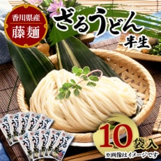 藤麺　ざるうどん半生10袋入