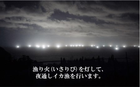 白いかの島風干し お歳暮に 高級朝どれ白いか 一夜干し