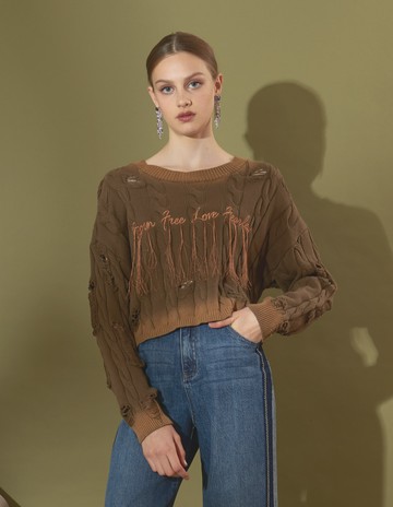 ★【喜芝梅】復古傷痕 靈動編織時尚破壞感流蘇裝飾個性針織上衣(咖啡色；F) 224110543