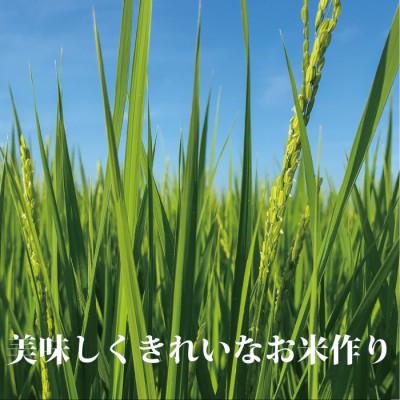 ふるさと納税 酒田市 特別栽培米 つや姫 玄米 5kg×2袋 計10kg