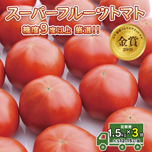  スーパーフルーツトマト 中箱 約1.2kg × 1箱  糖度9度 以上 野菜 フルーツトマト フルーツ トマト とまと [AF043ci]