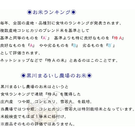 山形県庄内産コシヒカリ　白米５kg 令和５年度特別栽培米 農家直送 　特A