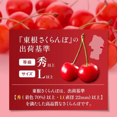 ふるさと納税 東根市 GI「東根さくらんぼ」 紅秀峰 700gバラ詰め(350g×2パック)