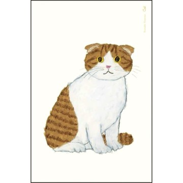 🌙【YXJ】米津祐介 明信片｜橘貓｜🇯🇵 日本進口｜文青插畫｜收藏小物