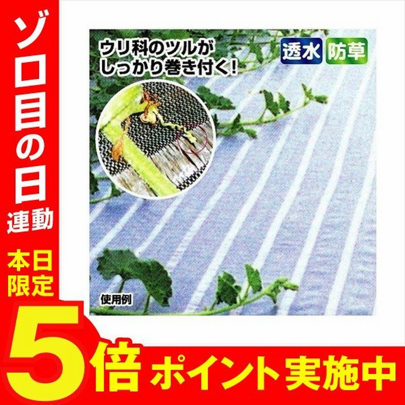 防草シート マルチング材 つるマルシート 1m 50m 1巻1組 草よけシート 除草シート 雑草防止 砂利下 人工芝下 国華園 通販 Lineポイント最大0 5 Get Lineショッピング