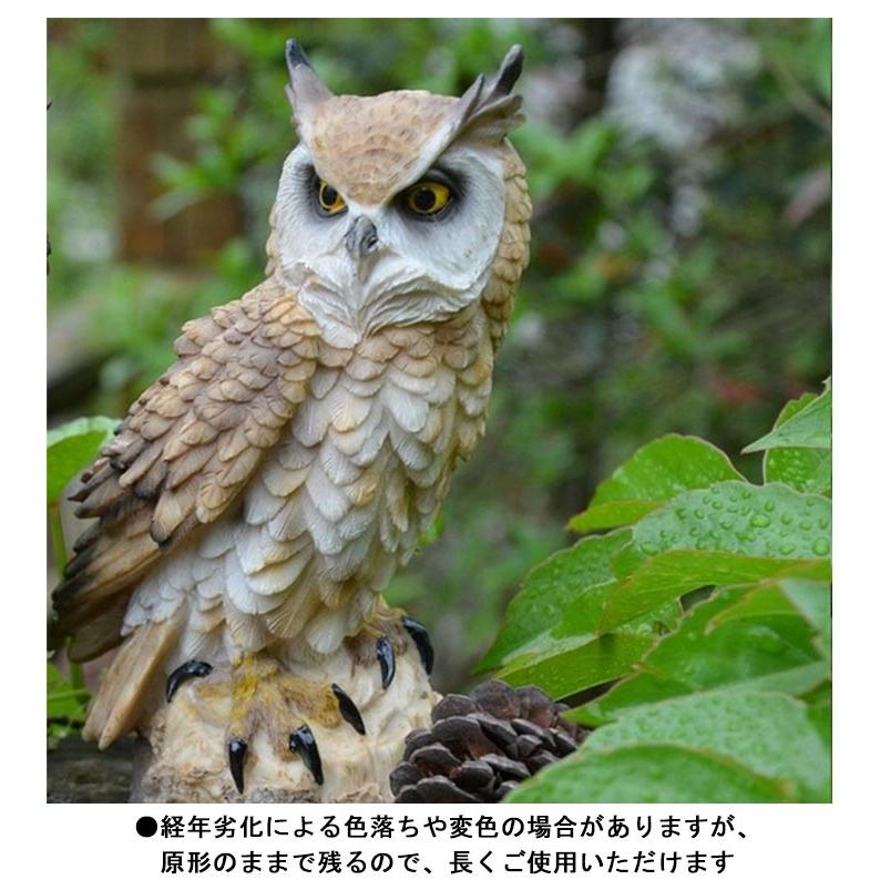 フクロウ 置物 鳥よけ 鳩よけ 鳥対策 本物そっくり 縁起物 お庭のお飾りに 防鳥防獣対策 防鳥具 鳥よけグッズ オーナメント 装飾 ディス