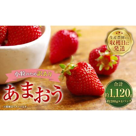 ふるさと納税  あまおう 約280g×4パック 約1120g いちご イチゴ 苺 フルーツ 福岡県太宰府市