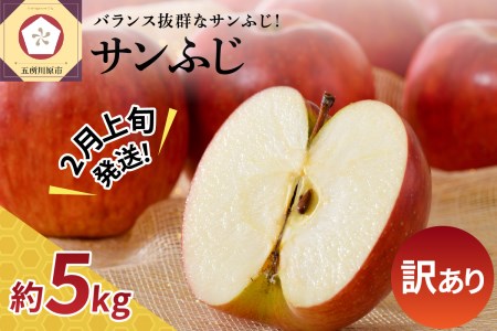 りんご　 りんご サンふじ 5kg 青森