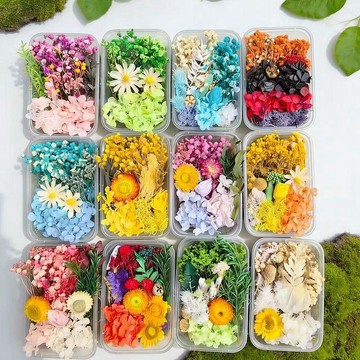 🌸臺灣熱賣好物🌸乾燥花材料包 花材盒 不凋花 純天然 永生花 浮游花 乾花 植物果實 乾燥花材 花藝材料包教師節手作