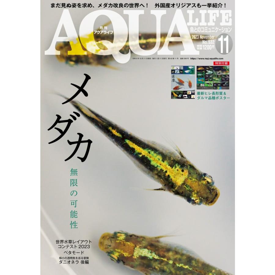 アクアライフ 2023年11月号 電子書籍版   アクアライフ編集部