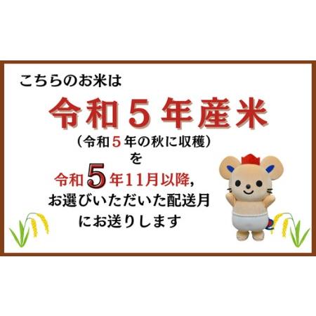 ふるさと納税 特Aきぬむすめ30kg定期便（15kg×2回）岡山県総社市産〔令和6年1月・3月配送〕 23-025-013 岡山県総社市