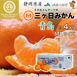 [予約 2023年 12月27日-12月31日の納品] 三ケ日みかん 青島 約 4kg L-Mサイズ 静岡県産 JAみっかび 冬ギフト お歳暮 御歳暮