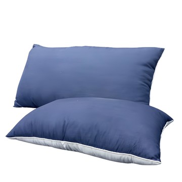 Victoria 日本大和抗菌水洗枕  74 x 45cm  1個  藍色