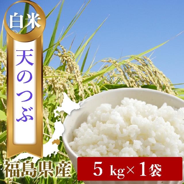 令和４年　福島県中通り産　天のつぶ　希少品種　白米５kg／精米５キロ