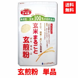  玄米まるごと玄煎粉 500g 玄米粉 玄米 米粉 玄煎粉 げんせんこ 玄米効果 グルテンフリー 無添加 国産 ダイエット