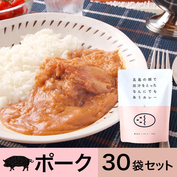 五島の鯛で出汁をとったなんにでもあうカレー（ポーク）30袋セット　送料無料