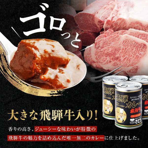  キッチン飛騨 監修 さとうオリジナル 飛騨牛カレー 3缶 セット 飛騨カレー 高山 ビーフカレー ギフト 贈答 送料込 ※北海道1000円、沖縄1200円別途必要