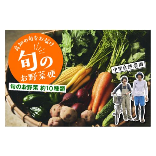 ふるさと納税 高知県 中土佐町 なかとさ野菜と新米定期便