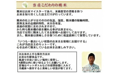 12ヶ月定期便 新之助 4kg×12回 計48kg 白米 精米 井上米穀店 新米は11月上旬以降発送 1I08096